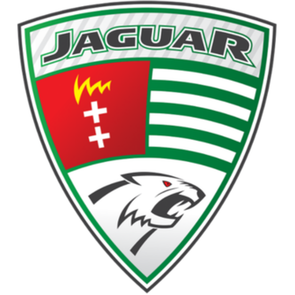 Jaguar & TLG logo